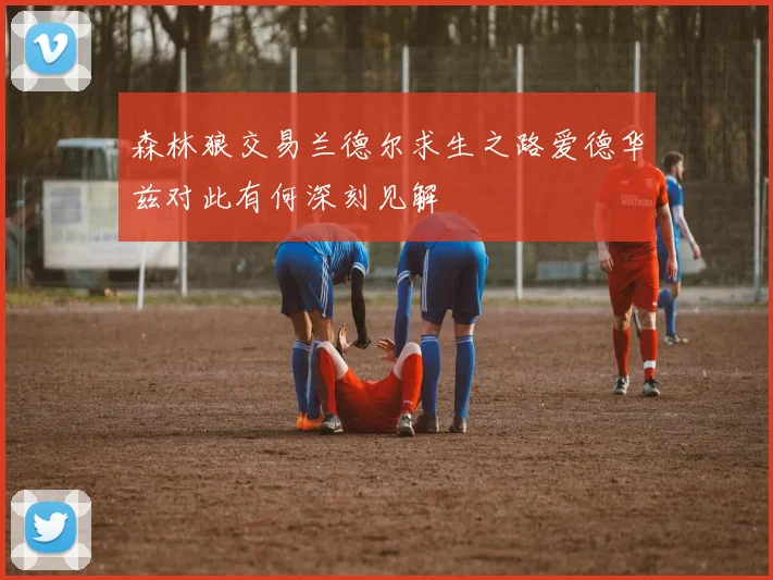 森林狼交易兰德尔求生之路爱德华兹对此有何深刻见解